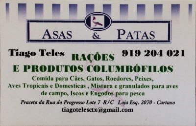 Asas e Patas