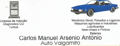 Auto Valgamito