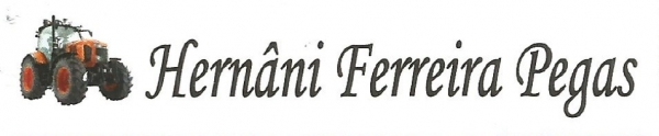 Hern&acirc;ni Ferreira P&ecirc;gas