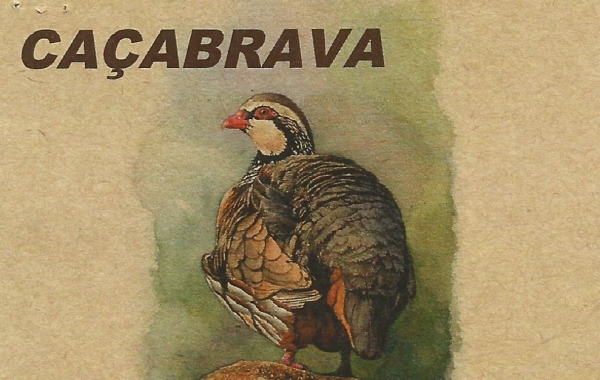 CA&Ccedil;ABRAVA