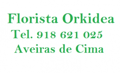 Florista OrKidea